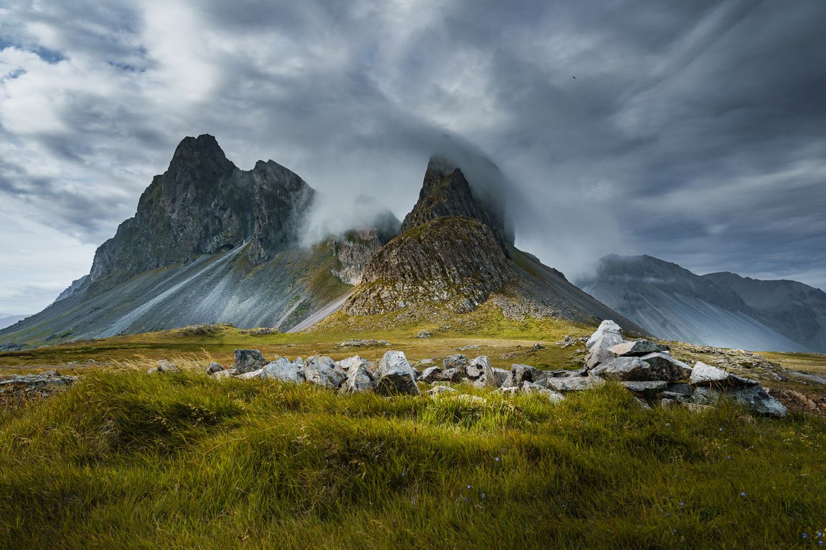 GuruShots tweet media