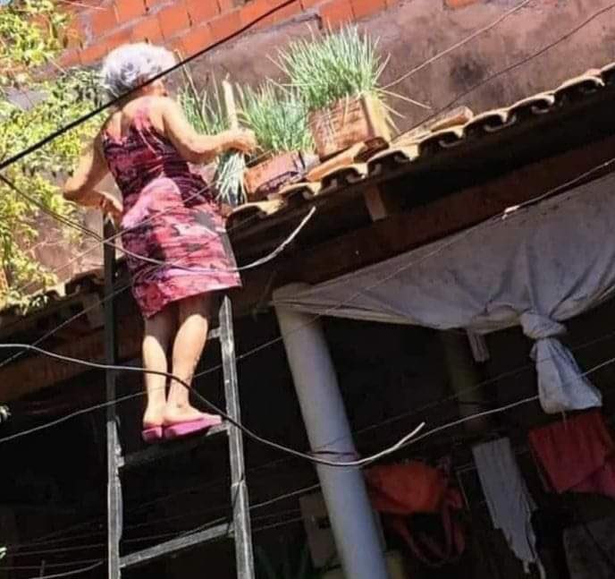 Medico: Ella tiene prohibido hacer cualquier tipo de esfuerzo

Mi abuela: