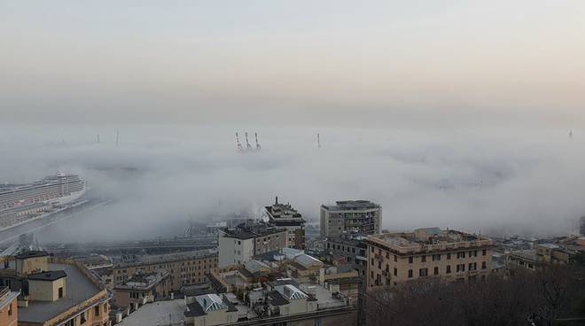 RadioBabboleo's tweet photo. La #caligo, la nebbia marina arrivata quest’anno già a fine febbraio potrebbe tornare ad avvolgere oggi la costa di #Genova. È quello che prevedono gli esperti dell’associazione #Limet sulla loro pagina Facebook: “Non è mai una previsione facile, ma tutti i tasselli combaciano" https://t.co/E9k57Isfme