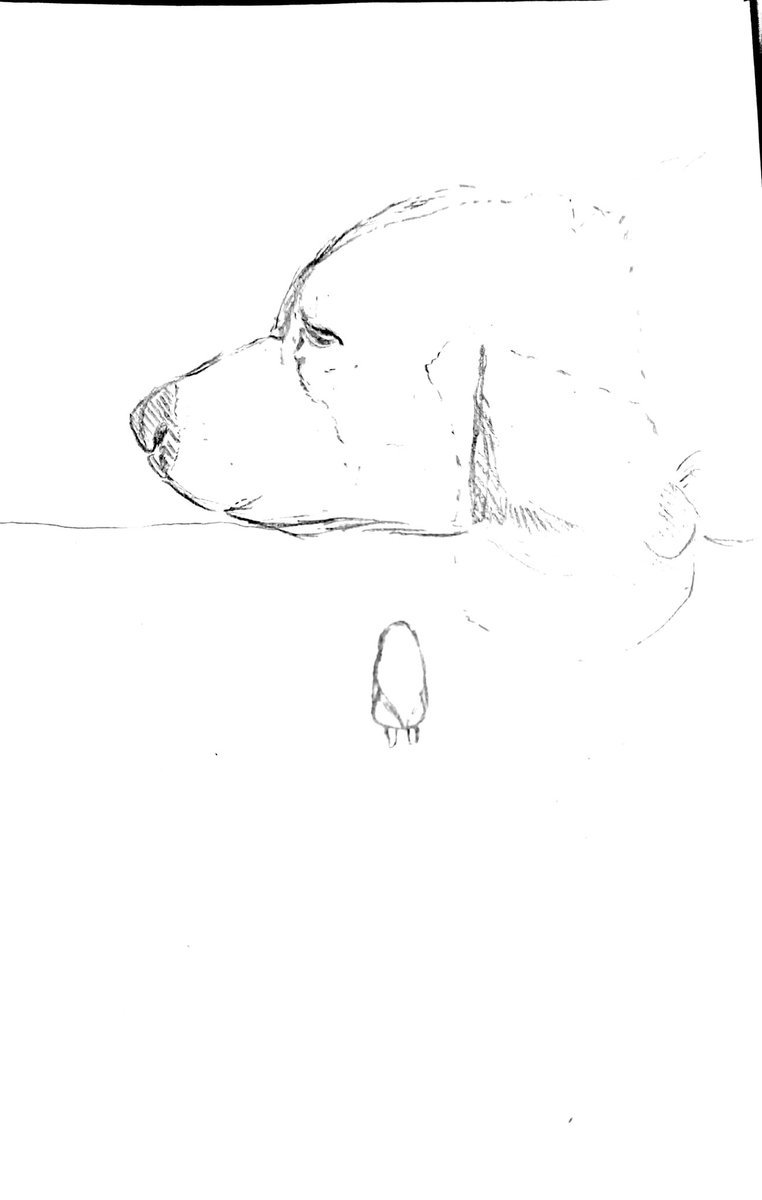 xtahuwu's tweet photo. Boop big doggo
What do y'all think about it?
#xtah #dog #bigdog #sketch #artph #lineart #youngartist https://t.co/onE7R6sJ8J