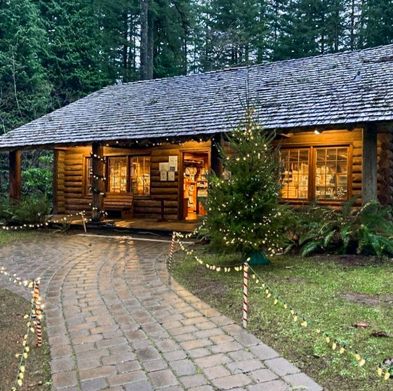 canopyandunder1's tweet photo. Our wild salal berry spreads are now available in the @friendsofsilverfalls Nature Store.  Stop by next time you visit the "crown jewel" of @oregonstateparks and maybe pick up a jar or two.⁠ https://t.co/qmj7NrmVzD