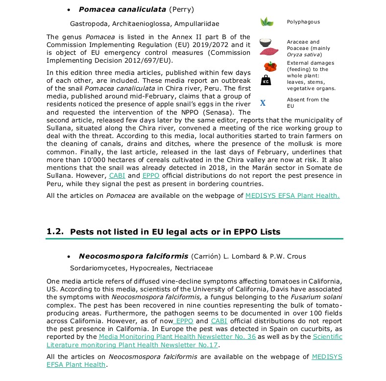 Plants_EFSA's tweet photo. The #PlantHealth Newsletter 48 is now out with results of #mediaMonitoring by #Medisys platform from 1 to 28 February 2021. Go and check all the news at the dedicated #virtualIssue of @EFSAJournal ▶️ https://t.co/CSpZDWK3GM 🦠🪰🪲
#xylella #FallArmyworm #pomacea #meloidogyne https://t.co/rLIDelGOuq