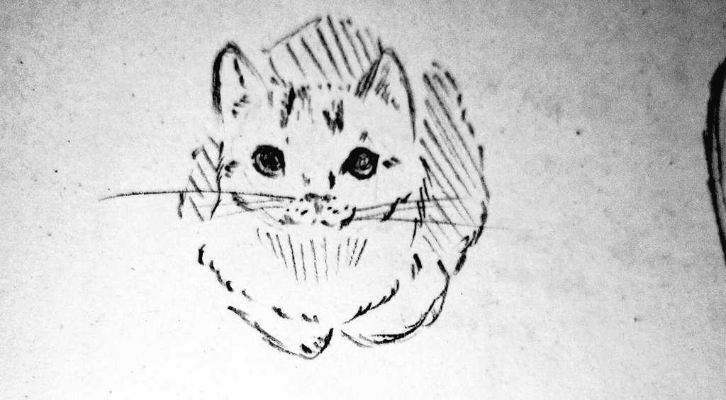 xtahuwu's tweet photo. Meow meow fast sketch lang poooo padaan uwu
Kindly feed me 🥺
#cat #xtah #hungry #quicksketch #artph https://t.co/PGtY7IoStl