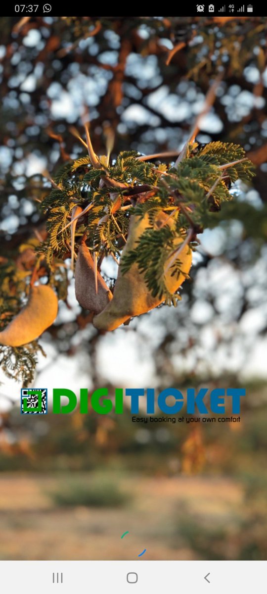 BoetPrince's tweet photo. @DigiTicketSA I know it says petrol but I don't have a car and I would to travel from Limpopo to Mpumalanga to spend time with my family
#DigiTicket https://t.co/YdE3Icdkth