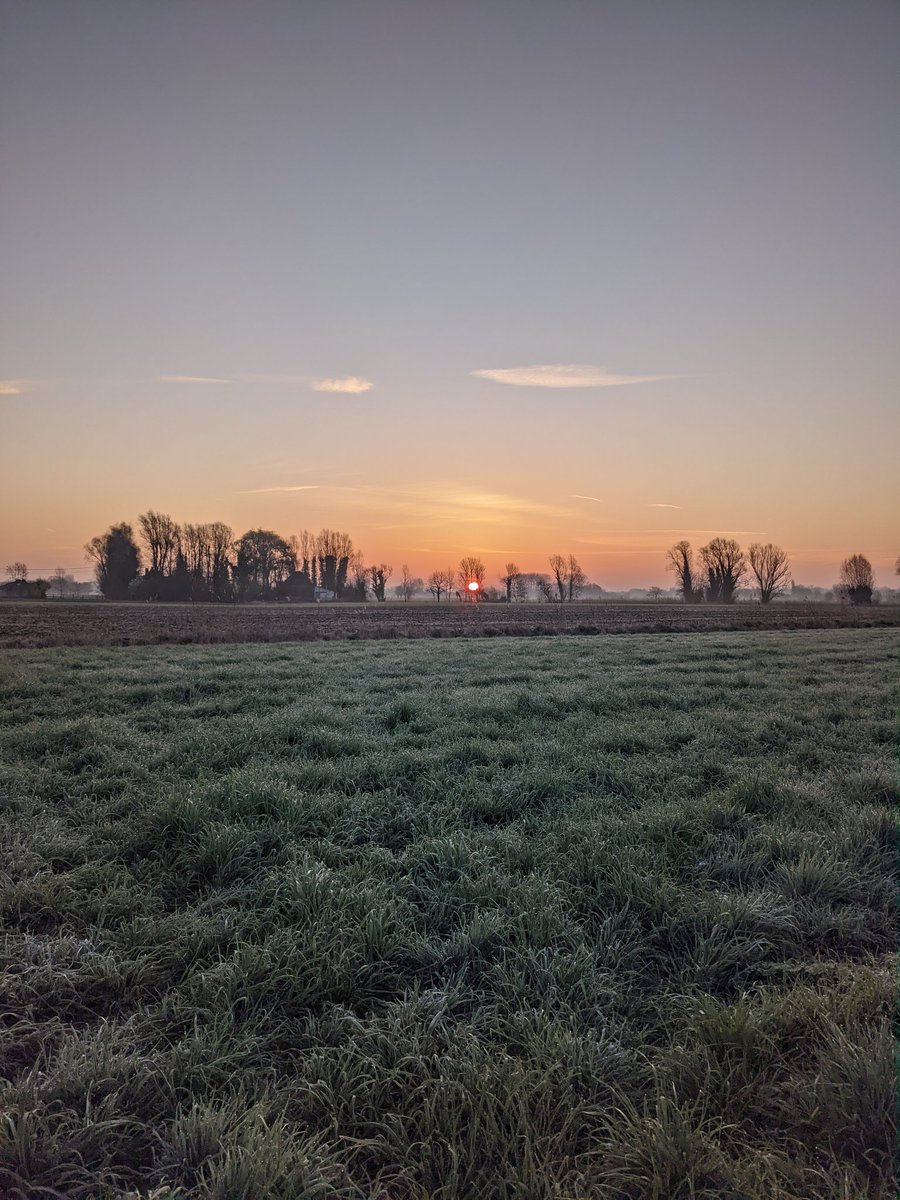 Olsene, 7u28 #vrtweer