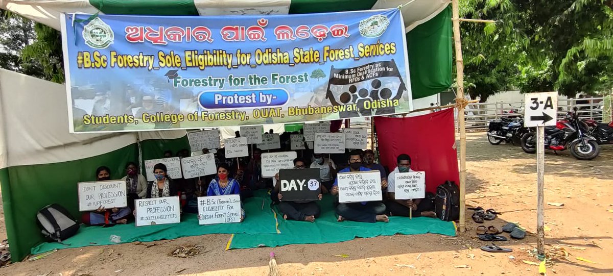 SHIVAMDASH14's tweet photo. #BSc_Forestry_Sole_Eligibility_for_Odisha_State_Forest_Services
@Naveen_Odisha @CMO_Odisha @BKArukha @dr_arunsahoo @MoSarkar5T @PrakashJavdekar @ForestDeptt @pccfodisha @ifs_odisha @otvnews @Kalingatv @News18Odia @NandighoshaTV @kanak_news https://t.co/Z9HW5Bslp1