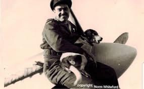 LimaSectorOps's tweet photo. #OnThisDay #1942

#411 (City of #York) Squadron #RCAF acquired a new #mascot, a puppy of uncertain parentage (although one was obviously a Jack Russell).

He was christened 'Joskins Firkin of #Scopwick' https://t.co/BzmpJuWQYG