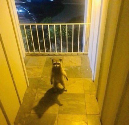 ☎ - Me, outside your house and home your humble abode on the search for a single coin just let me in i promise its okay i j