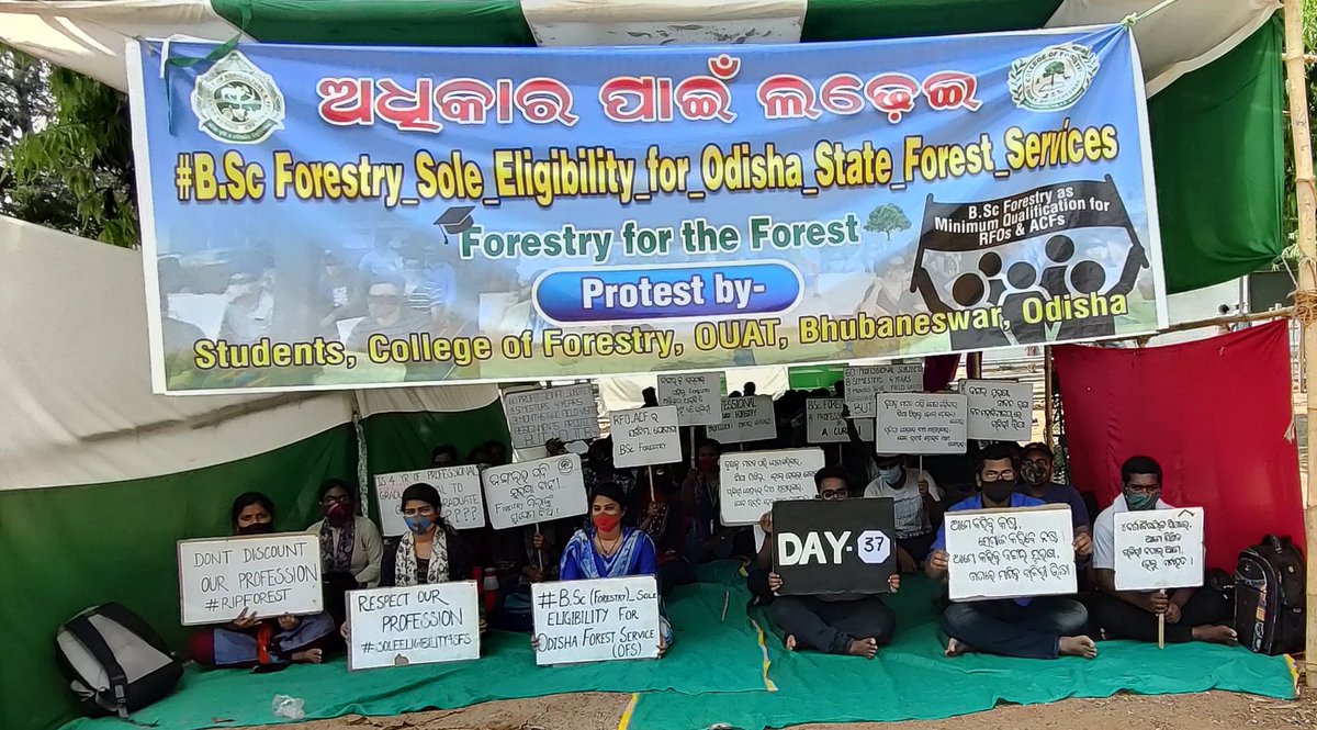 CollegeOuat's tweet photo. DAY-37
#BSc_Forestry_Sole_Eligibility_for_Odisha_State_Forest_Services
@Naveen_Odisha @CMO_Odisha @BKArukha @dr_arunsahoo @MoSarkar5T @PrakashJavdekar @ForestDeptt @pccfodisha @ifs_odisha @otvnews @Kalingatv @News18Odia @NandighoshaTV @kanak_news https://t.co/NhLFvrxCME