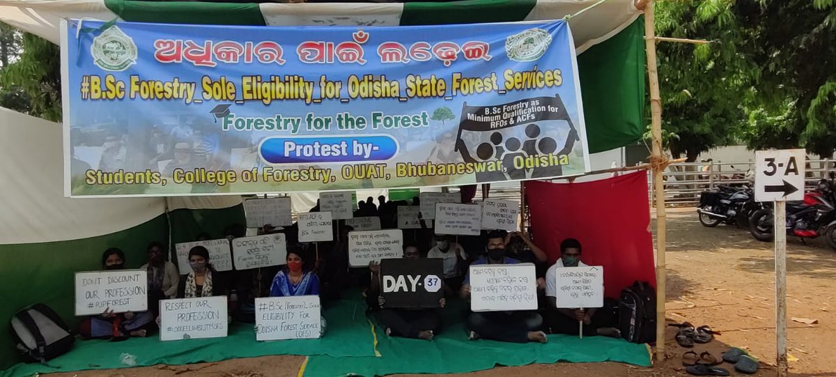 JyotiRa37247826's tweet photo. #BSc_Forestry_Sole_Eligibility_for_Odisha_State_Forest_Services
@Naveen_Odisha @CMO_Odisha @BKArukha @dr_arunsahoo @MoSarkar5T @PrakashJavdekar @ForestDeptt @pccfodisha @ifs_odisha @otvnews @Kalingatv @News18Odia @NandighoshaTV @kanak_news https://t.co/foyW9Nwb2V