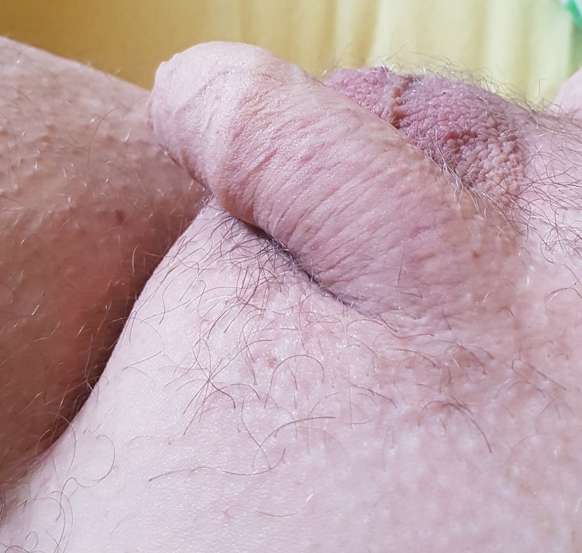 GayGrandad4BbS's tweet photo. Morning all. 
#neg4poz 
#softcock
#tuckedCock
#nullo 
#penectomy 
#NeedAShave
#waxing https://t.co/I6PGDMg4KG
