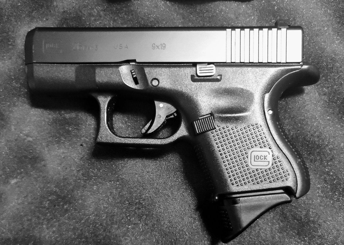 PeteyPaisano #P3 #Petey4Prez20__ tweet media