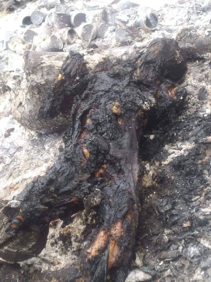 tw // death
A boy was burned to death by terrorists last night in 56 ward, South Dagon. Junta continuously opened gunfires till dawn. So many casualties yet due to internet blackout, exact death toll can’t be confirmed. 
ABOMINABLE CRUELTY 
#Mar30Coup
#WhatsHappeningInMyanmar