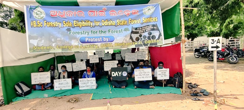 PReshmashree's tweet photo. #BSc_Forestry_Sole_Eligibility_for_Odisha_State_Forest_Services
@Naveen_Odisha @CMO_Odisha @BKArukha @dr_arunsahoo @MoSarkar5T @PrakashJavdekar @ForestDeptt @pccfodisha @ifs_odisha @otvnews @Kalingatv @News18Odia @NandighoshaTV @kanak_news 
Day 37 https://t.co/cHbm14f5LZ