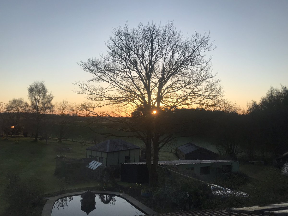 HayMaxbalm's tweet photo. Sun 🌞 through the middle of the tree!  . #Hayfever #Allergy #haymax #allergies #allergens #petallergies #dustallergies #hayfever #organic #drugfree #allergenbarrierbalms #haymaxbalm #sunrise https://t.co/srhQUadEST