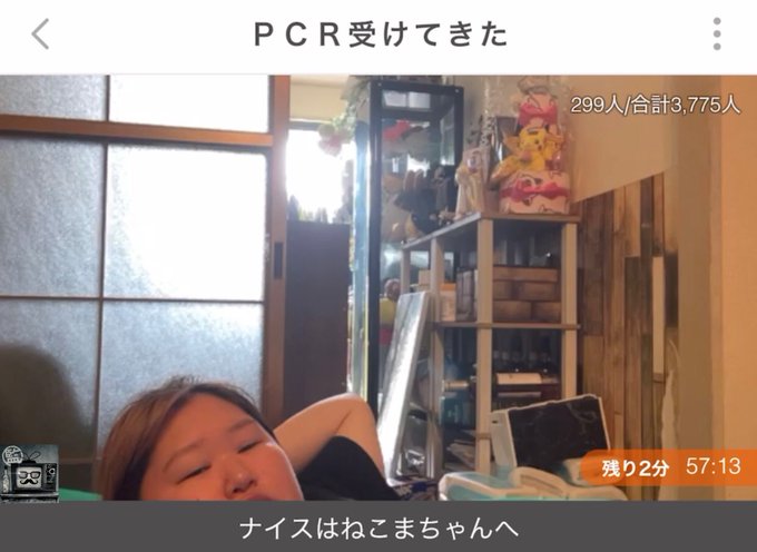 ドレ の 深夜 食堂 たぬき たぬき Amp Petmd Com ドレ の 深夜 食堂 たぬき たぬき Amp Petmd Com