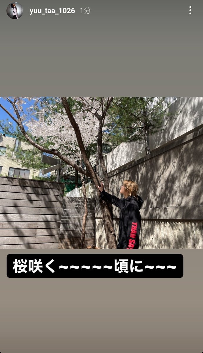 __moonfnsk__'s tweet photo. ユウタ、北乃きいのサクラサクがお気に入りなんやな https://t.co/kLvXBYUPgC