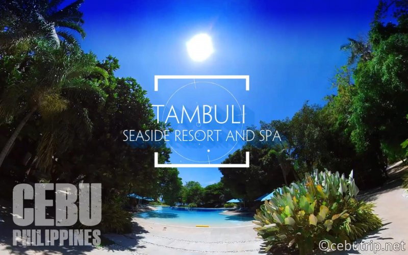 cebutrip_net's tweet photo. Get a glimpse of Tambuli Seaside Resort and Spa in a 360 Street View.🌞🌴
YT: https://t.co/bu1A6M4BrZ
For reservations
🌐https://t.co/Q1ckFH4QwU
📩reservations@tambuliseasideresortandspa.com
📞032 236 0888
More details here https://t.co/ApzoCvhXw7
#WeAreTambuli #Cebu #Cebutrip https://t.co/TduCqoumwv