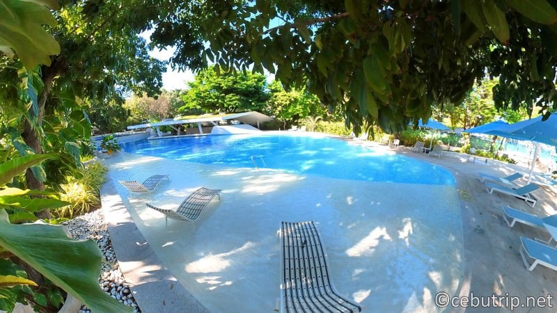 cebutrip_net's tweet photo. Get a glimpse of Tambuli Seaside Resort and Spa in a 360 Street View.🌞🌴
YT: https://t.co/bu1A6M4BrZ
For reservations
🌐https://t.co/Q1ckFH4QwU
📩reservations@tambuliseasideresortandspa.com
📞032 236 0888
More details here https://t.co/ApzoCvhXw7
#WeAreTambuli #Cebu #Cebutrip https://t.co/TduCqoumwv