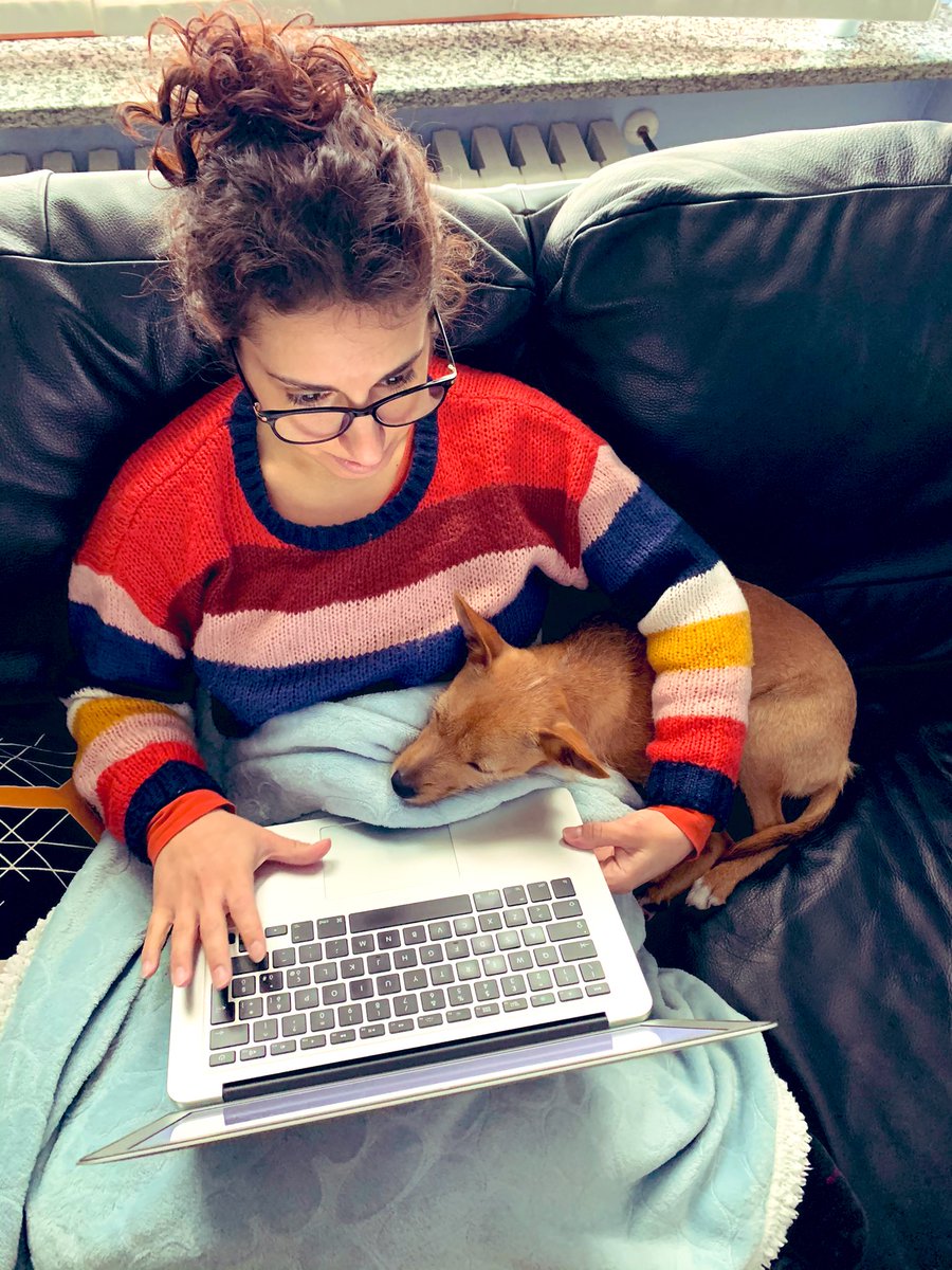 CardellAlessia's tweet photo. Possiamo tornare ai giorni copertina, cazzeggio, cane? https://t.co/sTrMsJpbxM