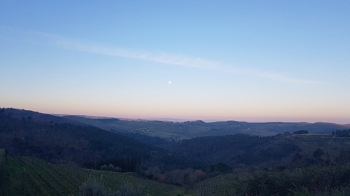 bottleofgrapes's tweet photo. Even though it feels like we are spinning on our heads these days with life and the covid chaos of closures and quarantines in the village, sometimes it's pretty damn good to just stop and look out the window on the way to work #andbreathe #commuteview #lamoleterraces https://t.co/A9dB2RvaeC