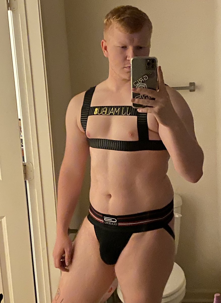 DaltFlowers's tweet photo. I’m sorry but I love this damn harness https://t.co/7GrceIe0at