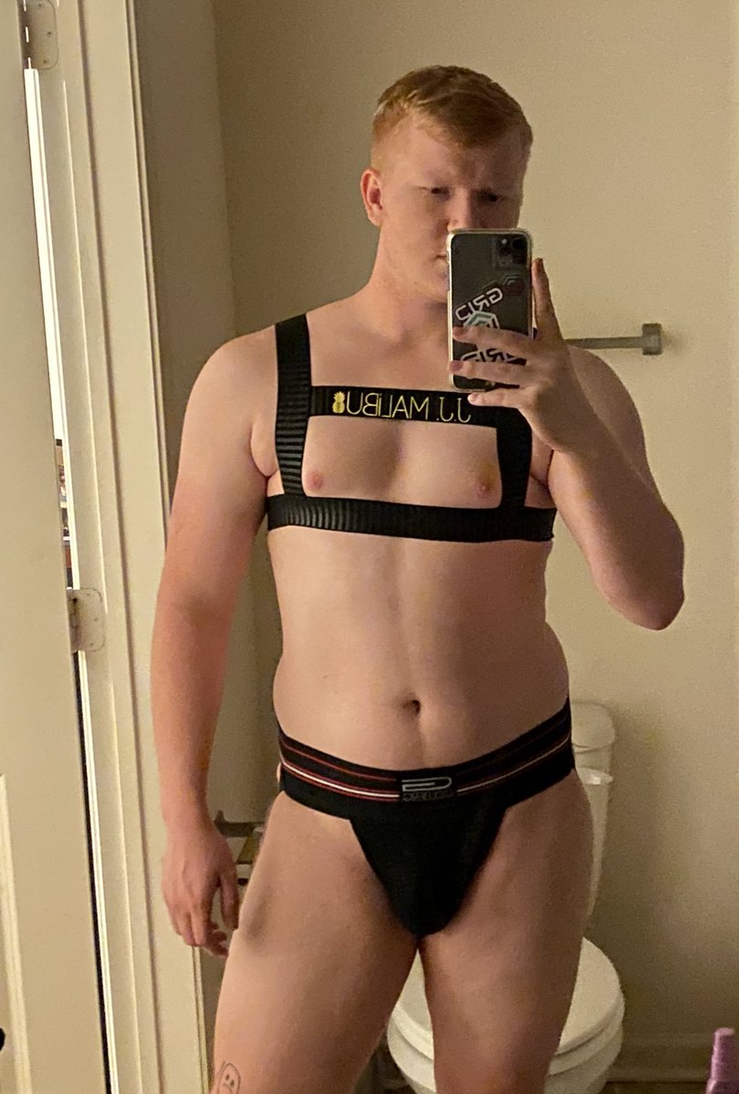 DaltFlowers's tweet photo. I’m sorry but I love this damn harness https://t.co/7GrceIe0at