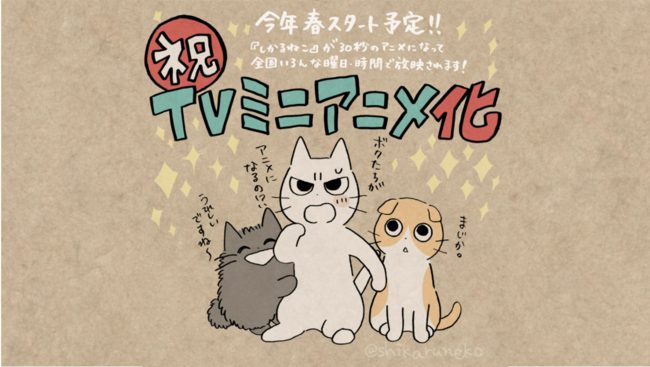 Media100per's tweet photo. SNSで話題『しかるねこ』が30秒のTVミニアニメ化決定！2021年春より全国各放送局にて放映
#しかるねこ

https://t.co/LrRO3bg3JA https://t.co/yrorHOlKNd
