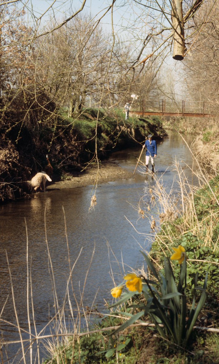 Mike Huskisson tweet media