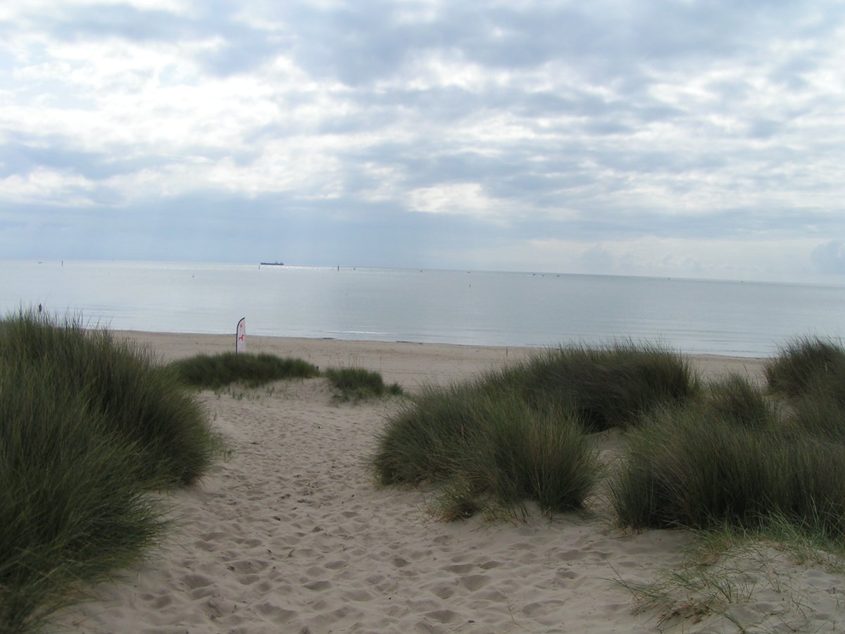 Socksoff1's tweet photo. #studlandbeach @nationaltrust. For those of you who aren't working today, have a lovely time out there in the sunshine. Who hoo! π Poss back later with #traveltuesday tweets π #tweetbreak @Tripadvisoruk https://t.co/w72XqUJQUN https://t.co/StcQGsKKXK