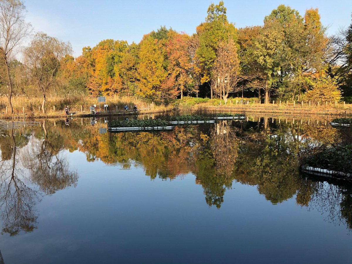 Twitter पर 川口自然公園 ह शट ग Twitter पर 川口自然公園 ह शट ग
