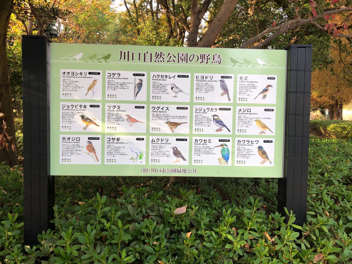 Twitter पर 川口自然公園 ह शट ग Twitter पर 川口自然公園 ह शट ग