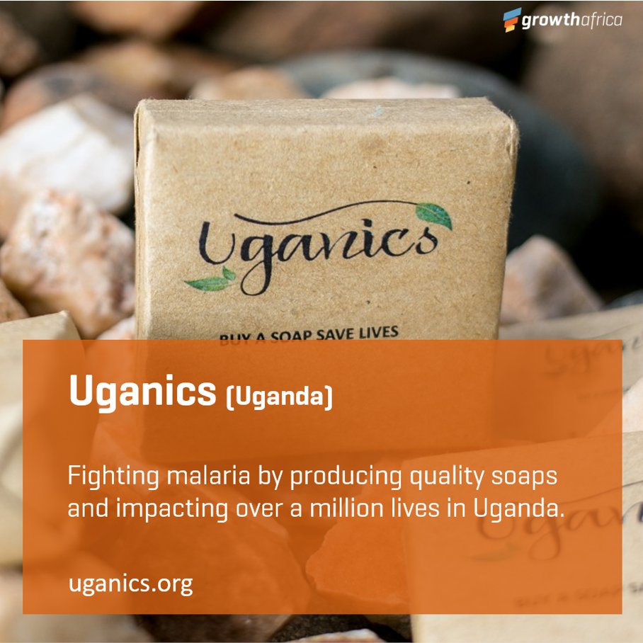 GrowthAfrica's tweet photo. VENTURES WITH FOUNDATIONS IN CLEAN BEAUTY 🌿
🤩Here are three #EastAfrican alumni ventures with products with foundations in #cleanbeauty:
🍃@BukeBrands
��#Sheacare Naturals
🦟@Uganics Repellents

#WeaccelerateAfrica #Entrepreneur https://t.co/b8TbwRKRck