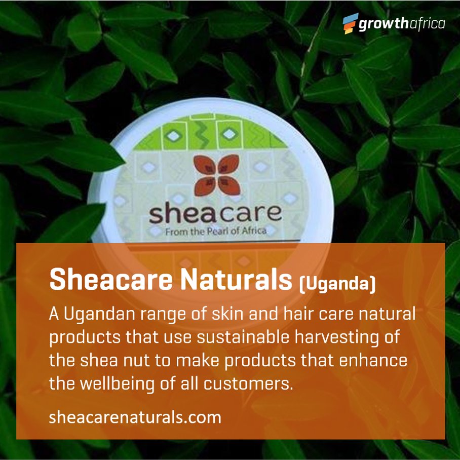 GrowthAfrica's tweet photo. VENTURES WITH FOUNDATIONS IN CLEAN BEAUTY 🌿
🤩Here are three #EastAfrican alumni ventures with products with foundations in #cleanbeauty:
🍃@BukeBrands
��#Sheacare Naturals
🦟@Uganics Repellents

#WeaccelerateAfrica #Entrepreneur https://t.co/b8TbwRKRck