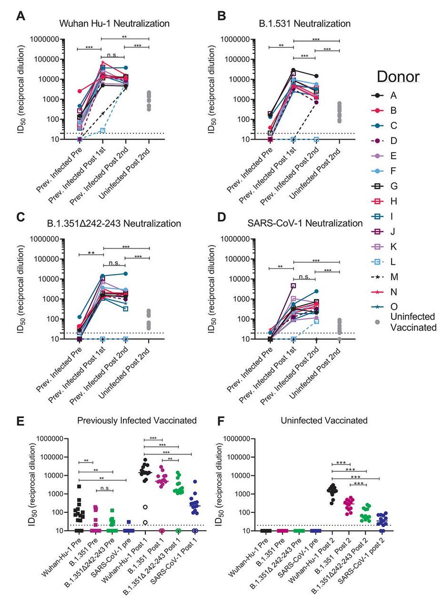 ScienceMagazine's tweet photo. A single dose of an mRNA COVID vaccine in 15 people who had previously been infected with SARS-CoV-2 boosted antibodies against the recently emerged B.1.351 South African variant and several other pseudovirus variants, a @fredhutch study shows. https://t.co/bw5bBXjJfw https://t.co/h5qNEHy3KH