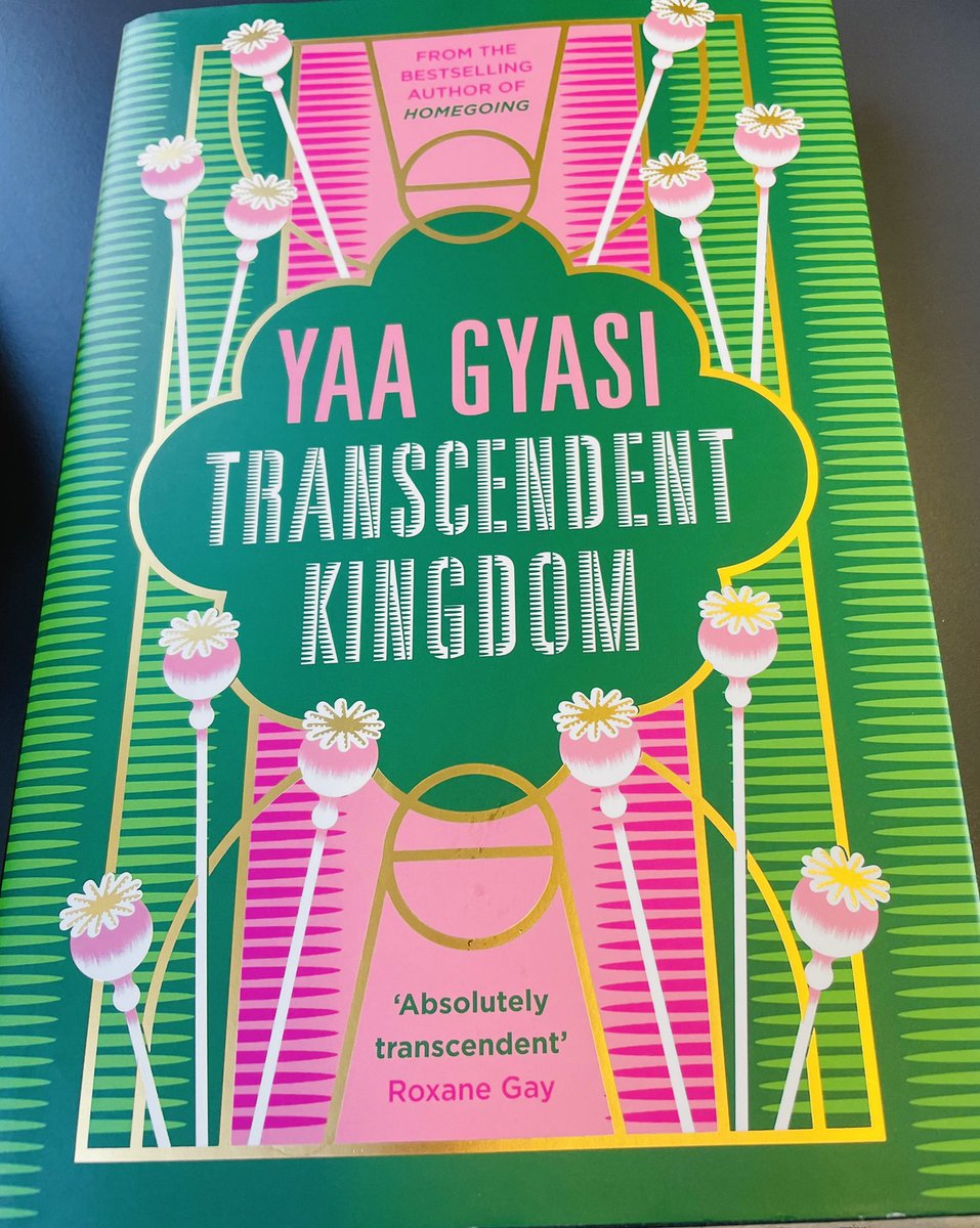 This book, the characters, these words 💚Can you fall head over heels after only the first few chapters? #amreading #TranscendentKingdom
