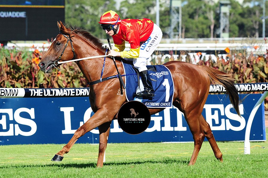 LisaGrimm9's tweet photo. Like father , Like Son

EXTREME CHOICE canters to the barriers before the 2016 Golden Slipper and STAY INSIDE  heads to the barriers before winning Saturday’s 2021 Golden Slipper.

What a way to sire your first ever Stakes winner 🎉🔥 https://t.co/KwtQtH3hf3