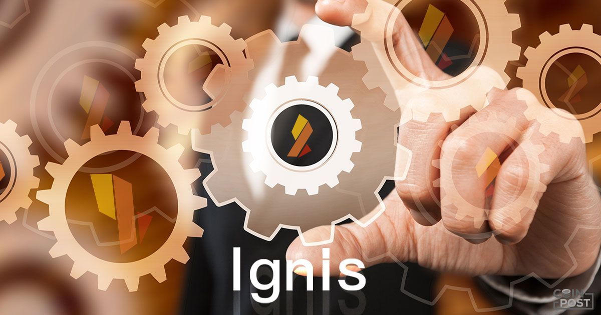 Jelurida's tweet photo. #Jelurida announces roadmap for @bridge_champ, the first #blockchain-based #gaming platform for bridge online, to be publicly released by Q4 2021! 🚀 Read the article also covering the #Ardor #Ignis &amp; #Nxt integrations with @SimplexCC! 👉https://t.co/GuN6ia6ZUt
via @coin_post https://t.co/6WKHPnInbr