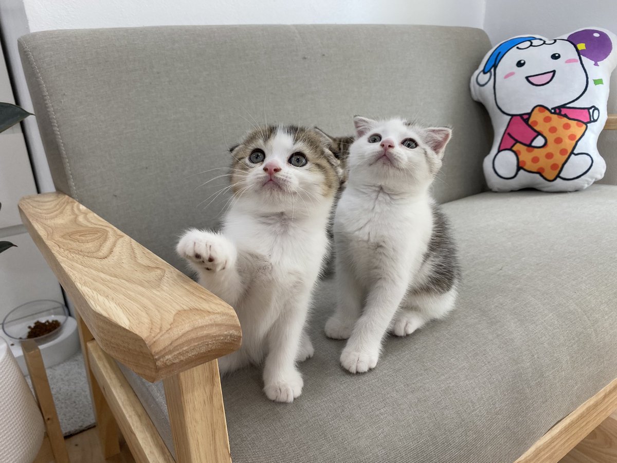 _DNVP_'s tweet photo. มันจะต้องมีตัวนึงแหละที่ชอบกันซีนชาวบ้านเขา 🙄 https://t.co/xbGUIiK5Ge