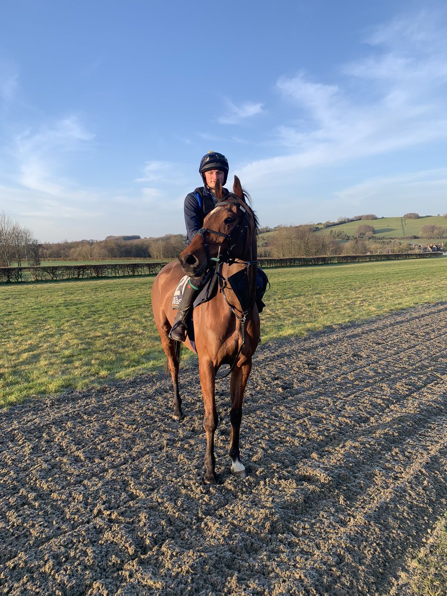 💚🤍💛Cloth Cap out on the gallops first lot, ridden by Nick #firstlot #nationalhuntracing #GrandNational #early #sunshine #thebestlife