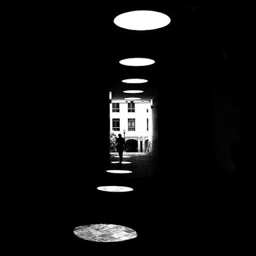 Alex00762690's tweet photo. I thought the most beautiful thing in the world must be shadow.

__  Sylvia Plath

© Serge Najjar https://t.co/s6ou97wDZY