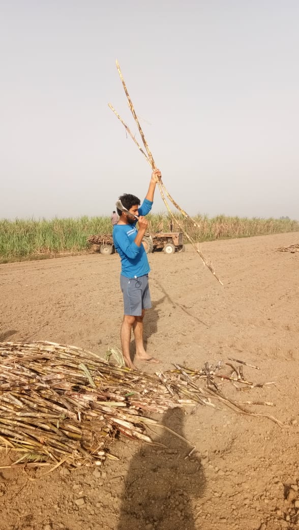 VImvinit007's tweet photo. घमंड ही नहीं #गुरुर है अपने #किसान होने का। 

किसान पुत्र ❤️🚩🚩🚩🚩🚩
राजपुताना 
#swag https://t.co/xxVxsSkm4j