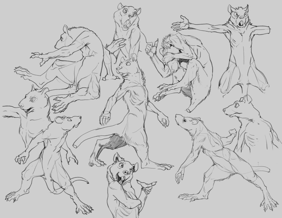 Rat studies 