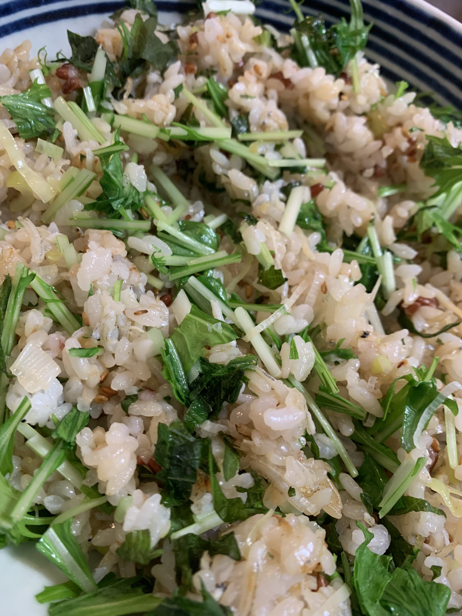 独身最後 Twitter Search Twitter