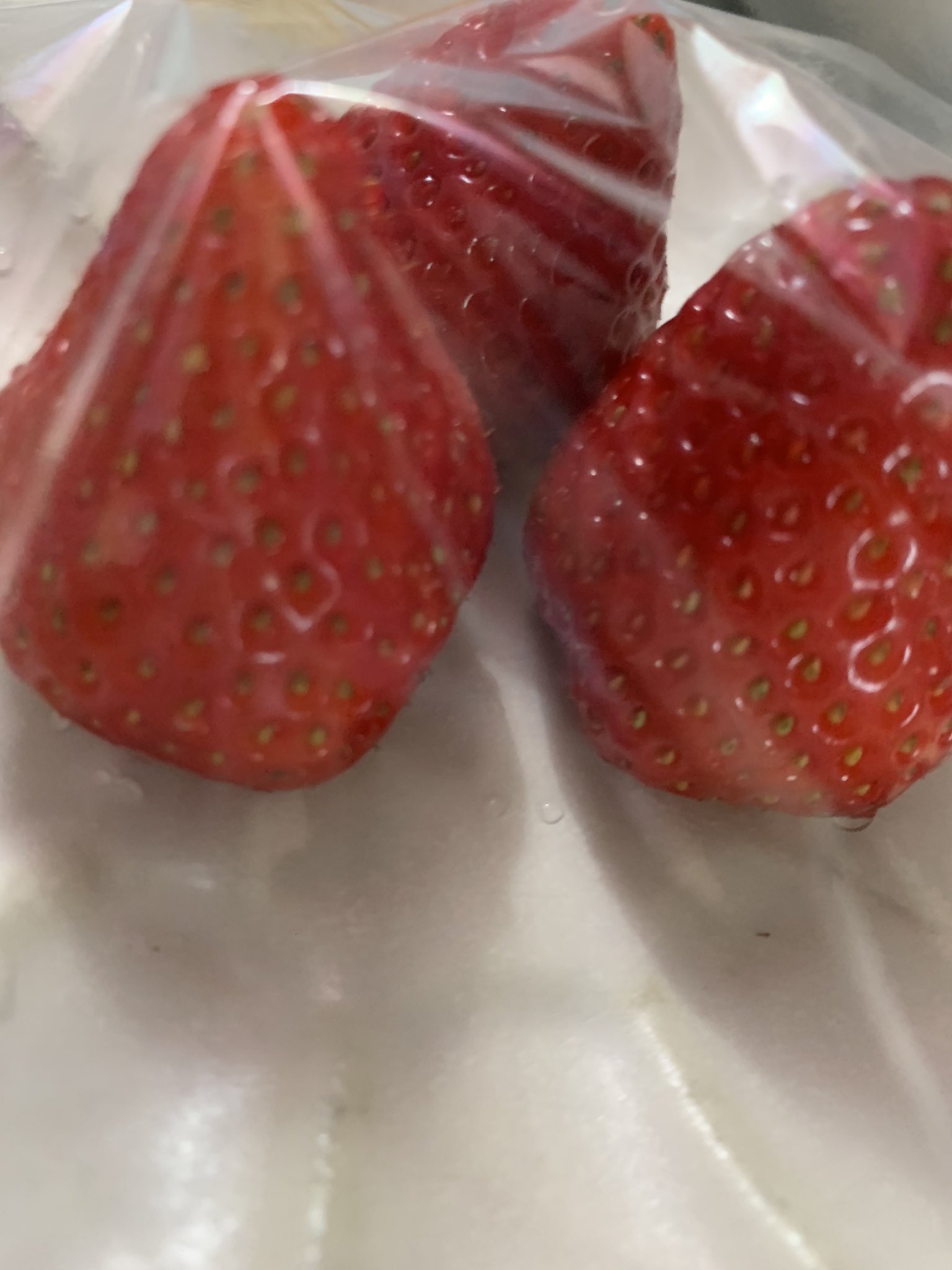 独身最後 Twitter Search Twitter