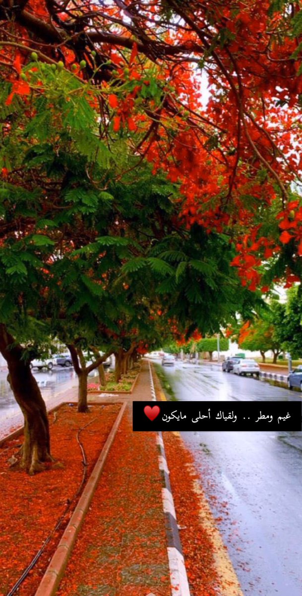 metoo811's tweet photo. #الطايف_الان https://t.co/RfX24MdgUd