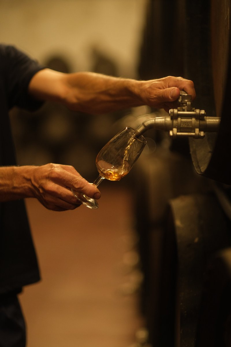 SV_Wines's tweet photo. Os presentamos DALVA, el nuevo proyecto que os queremos acercar. DALVA es una de las bodegas de Oporto con una apuesta más férrea por los Colheitas. #colheitas #DALVA https://t.co/437ztLVq59