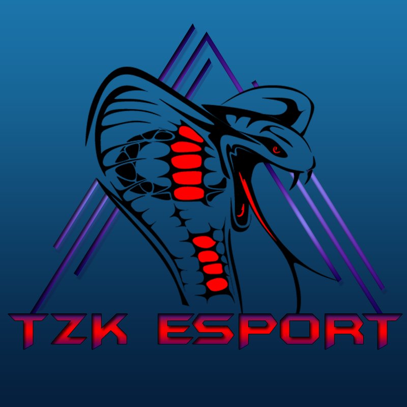 MediaComC's tweet photo. Nouveau Logo pour l'équipe esport @TzKEsport . Merci pour votre confiance :)
#Logo #GraphicDesign #GraphicDesigner #LogoDesign #eSports https://t.co/PX6l2Zz0bI