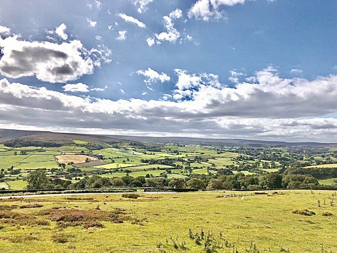 NickyJohnsonNY's tweet photo. Happy Tuesday from North York Moors, North Yorkshire 😊 https://t.co/D2IXmxAJPm