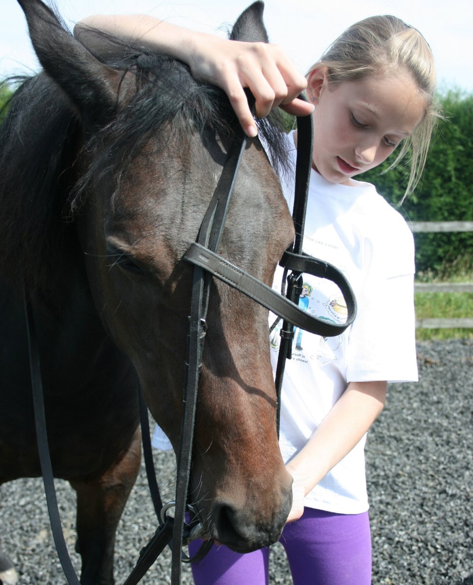 ThinkLikeaPony tweet media